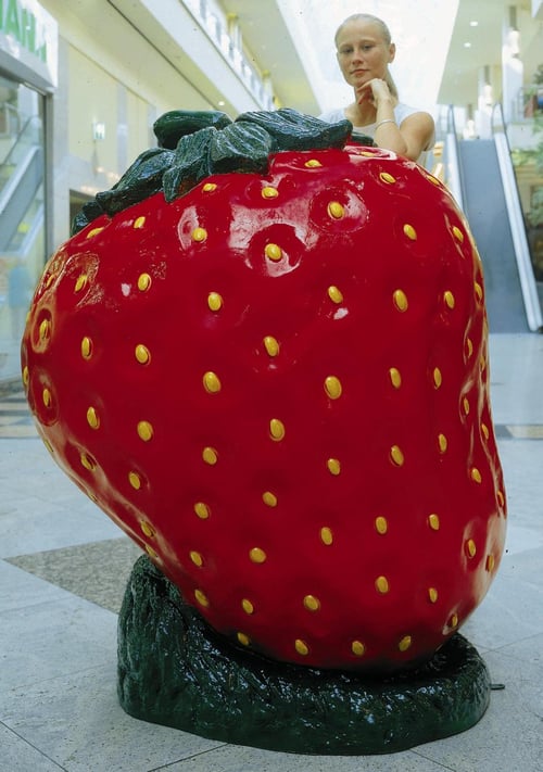 Erdbeere, groß 140 cm